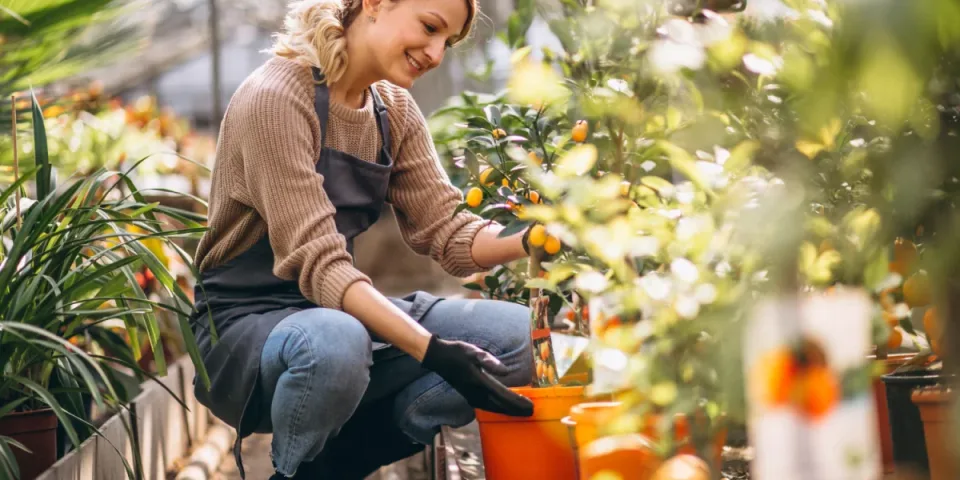 Klimatyzacja Pruszków - jakie rozwiązania wybrać, aby cieszyć się komfortem w czasie upalnych dni?