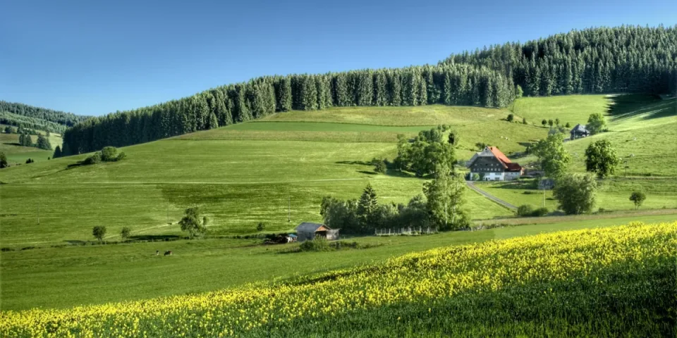 Budowa domu od podstaw – krok po kroku